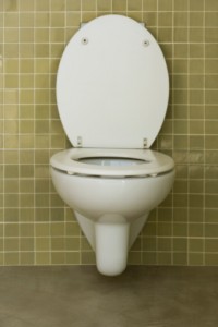 Low Flow Toilets
